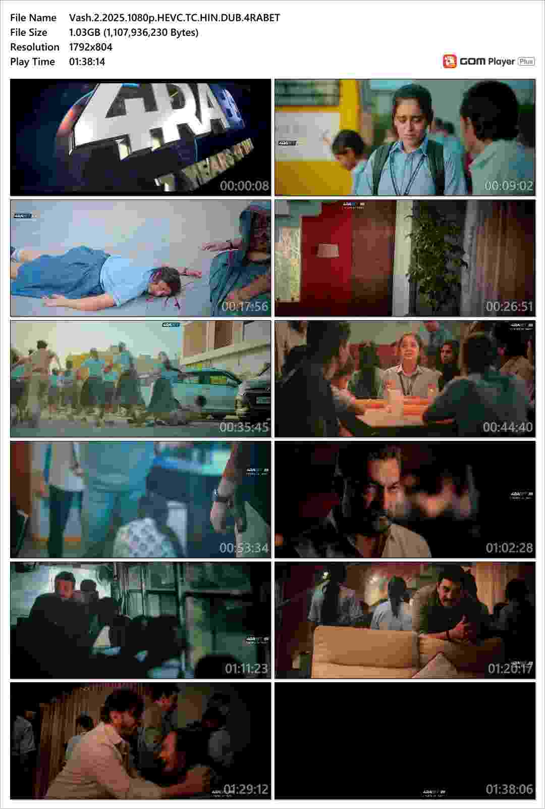 Vash 2 (2025) Hindi Dubbed