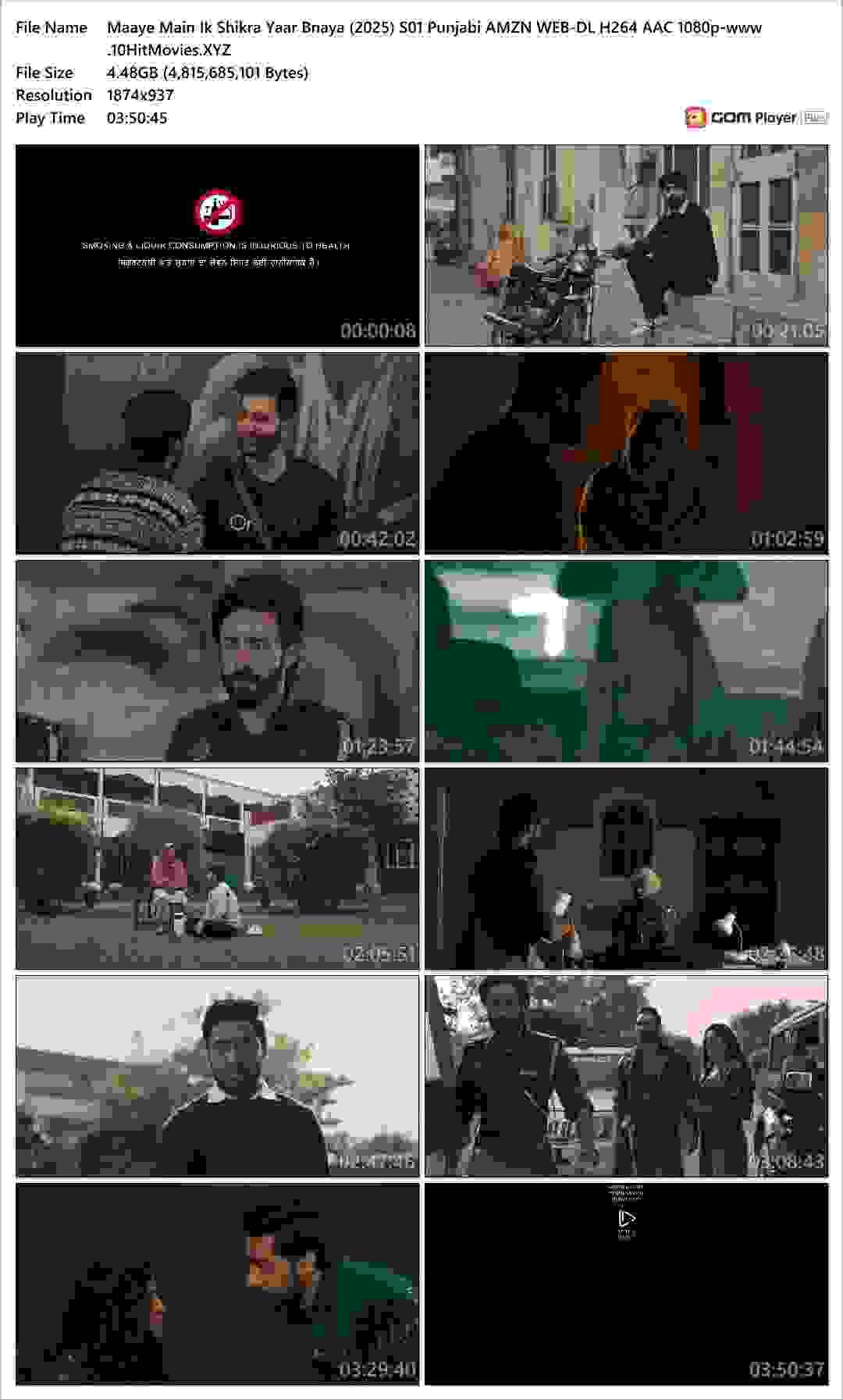 Maaye Main Ik Shikra Yaar Bnaya (2025) S01 Punjabi AMZN