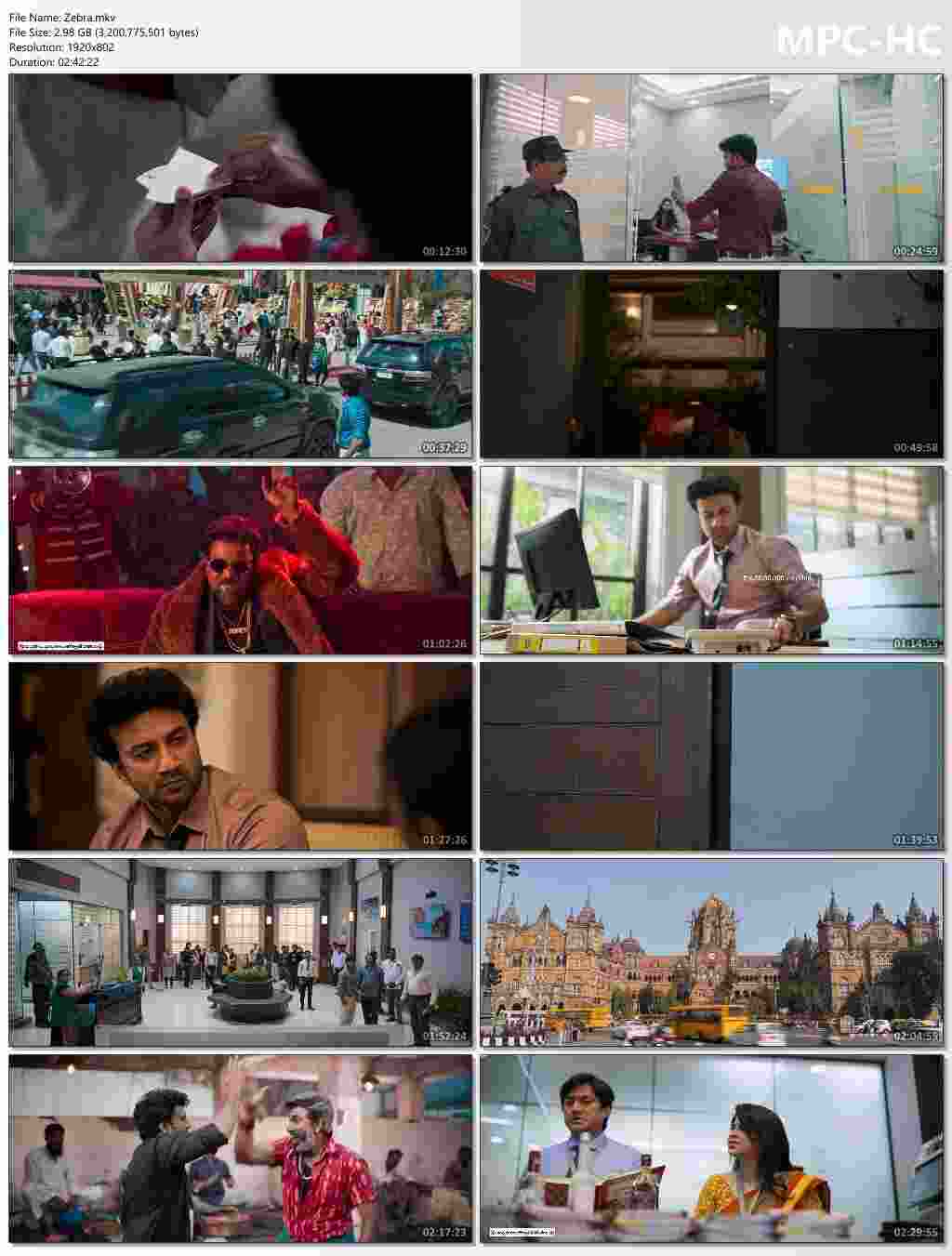 Zebra 2025 Hindi Dubbed Movie