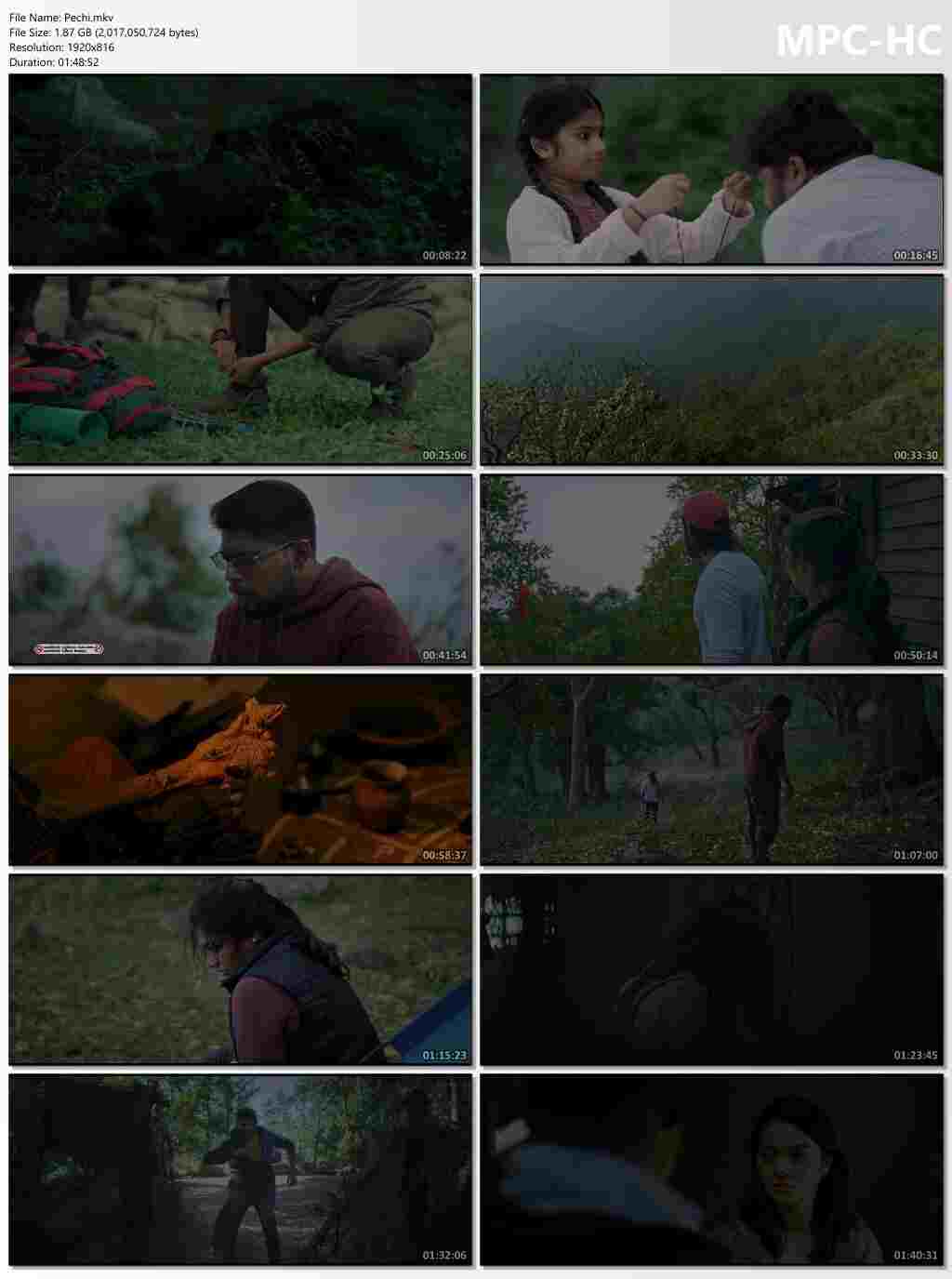 Pechi 2025 Hindi Dubbed Movie ORG