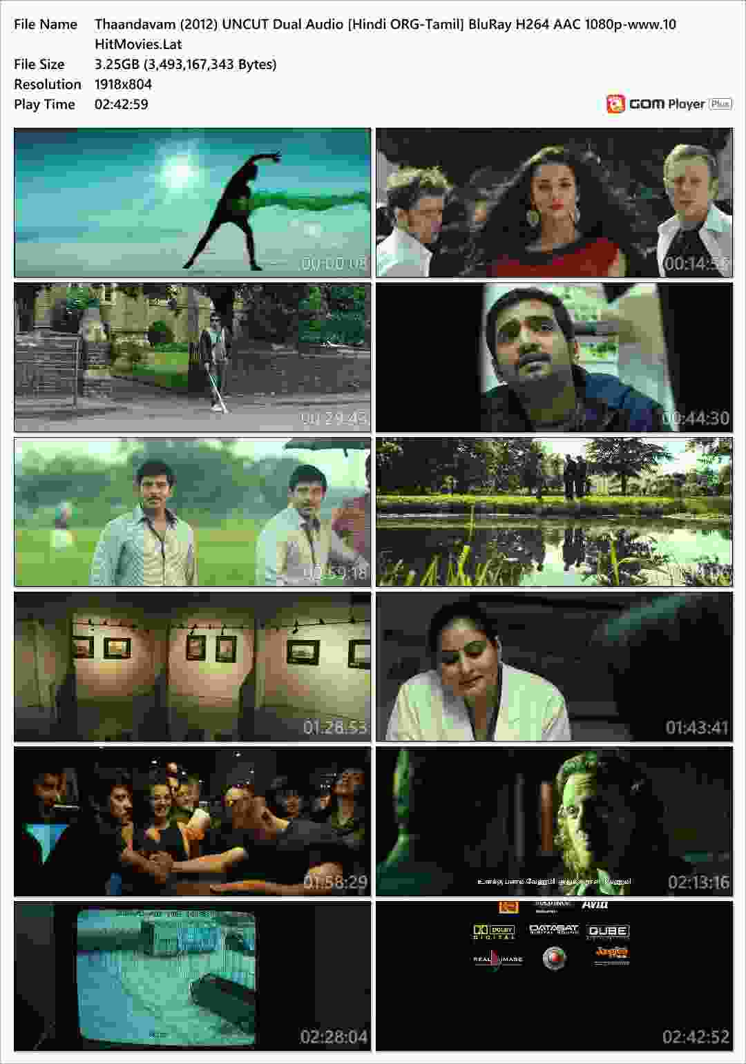 Thaandavam (2012) UNCUT Dual Audio [Hindi ORG-Tamil] BluRay H264 AAC